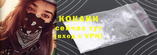 соль ск Алзамай