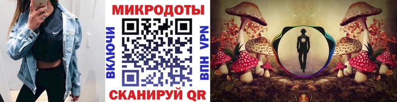 ОМГ ОМГ ТОР  Южно-Сахалинск  Псилоцибиновые грибы мухоморы 